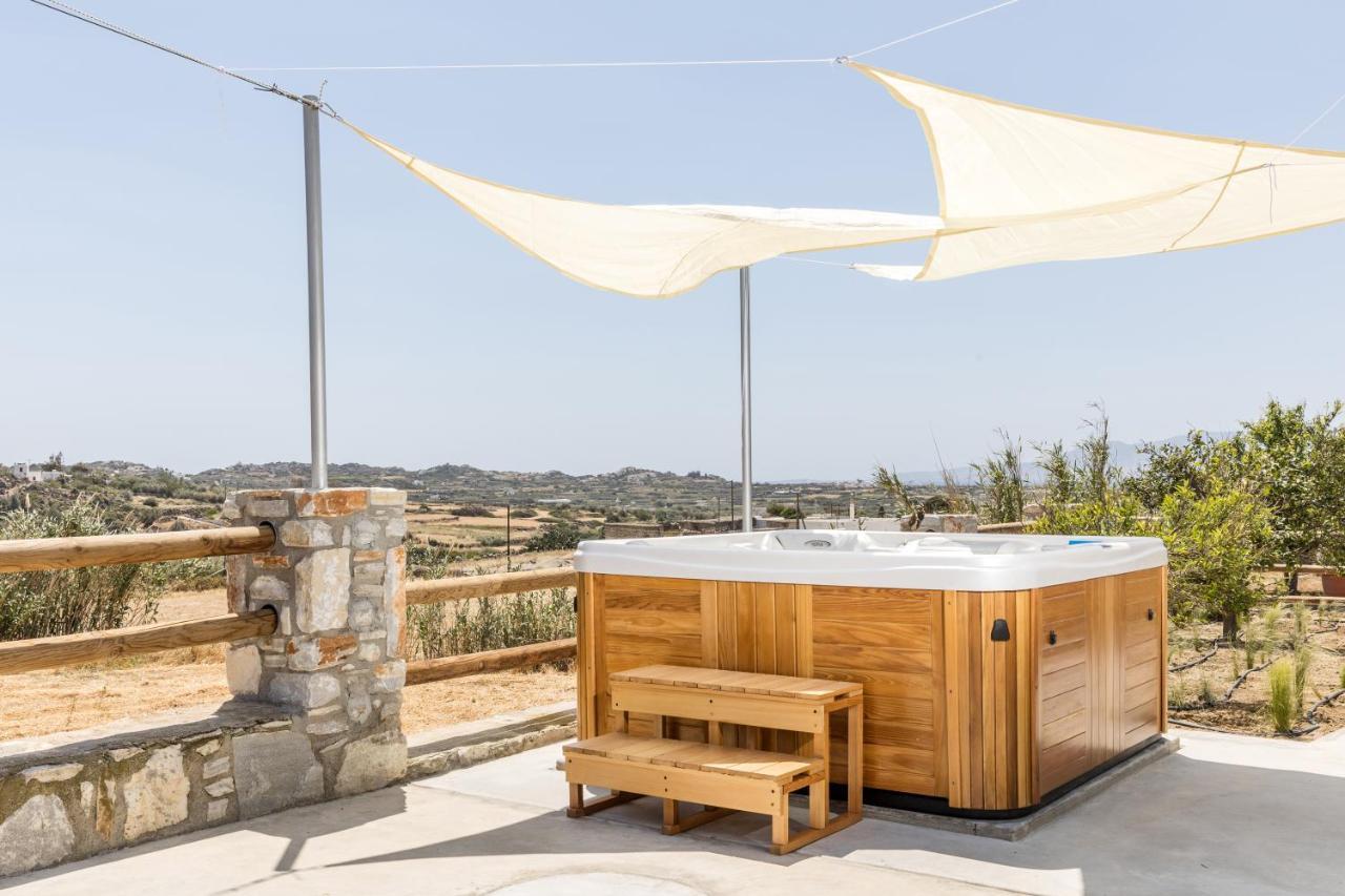 הוילה Glinado Naxos The Stone House Naxos מראה חיצוני תמונה